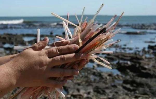 塑料吸管对人体有什么危害 一次性塑料吸管对身体有什么危害