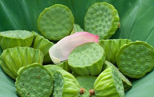 莲子富含钾怎么吃