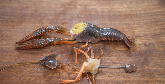 小龙虾哪些部位不能吃 妙招姐,小龙虾毒素在哪里图2