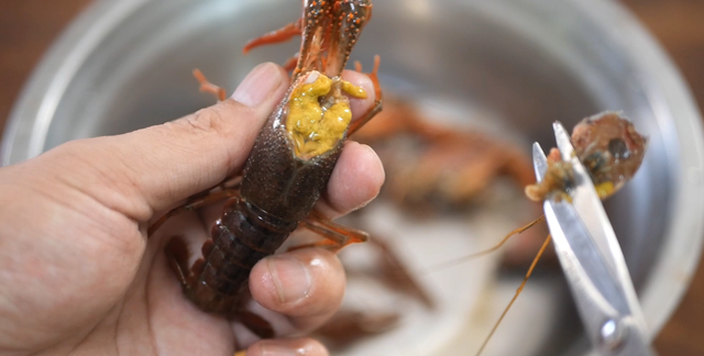 小龙虾哪些部位不能吃 妙招姐,小龙虾毒素在哪里图6