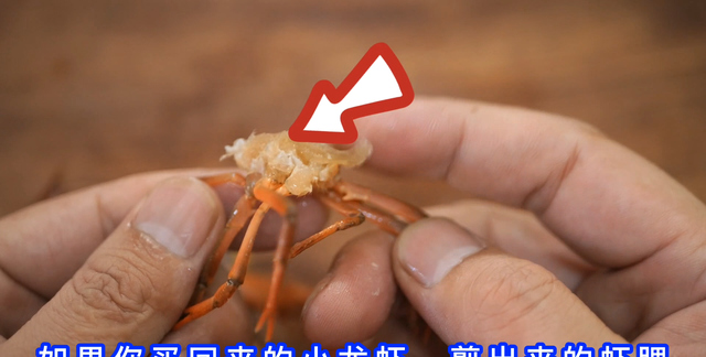 小龙虾哪些部位不能吃 妙招姐,小龙虾毒素在哪里图8
