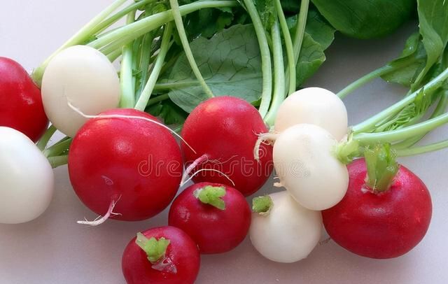 冬吃萝卜夏吃姜多喝萝卜汤图3