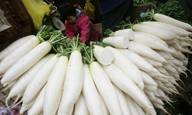 冬吃萝卜夏吃姜多喝萝卜汤图5