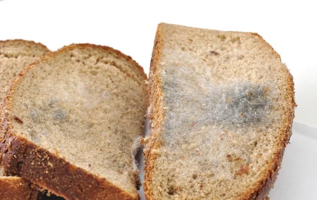 误食过期食品怎么及时解决(误食过期食品会有哪些症状)图4