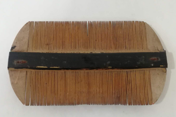 箅子和篦子的区别