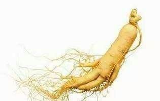 人参怎样吃壮阳效果最好