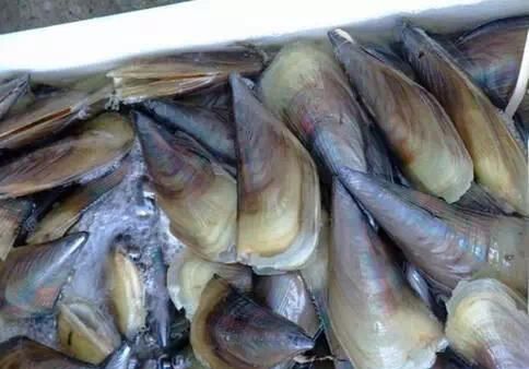 动了情的广西人,连螺蛳粉都端不稳图5