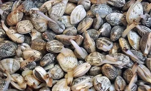 动了情的广西人,连螺蛳粉都端不稳图6