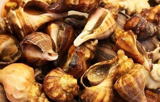 动了情的广西人,连螺蛳粉都端不稳图7