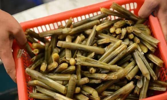 动了情的广西人,连螺蛳粉都端不稳图8