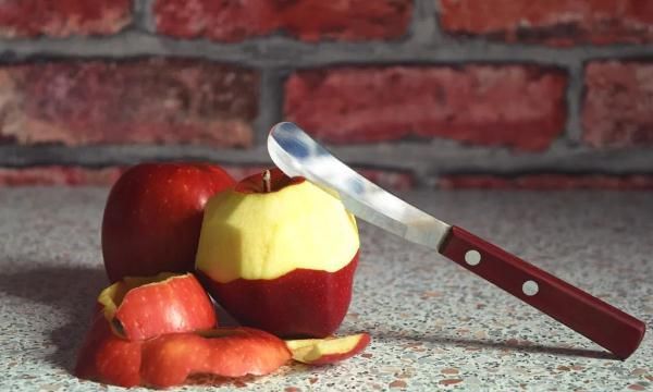 豆种皮的功效和作用图片(果皮种皮的功效与作用)图4