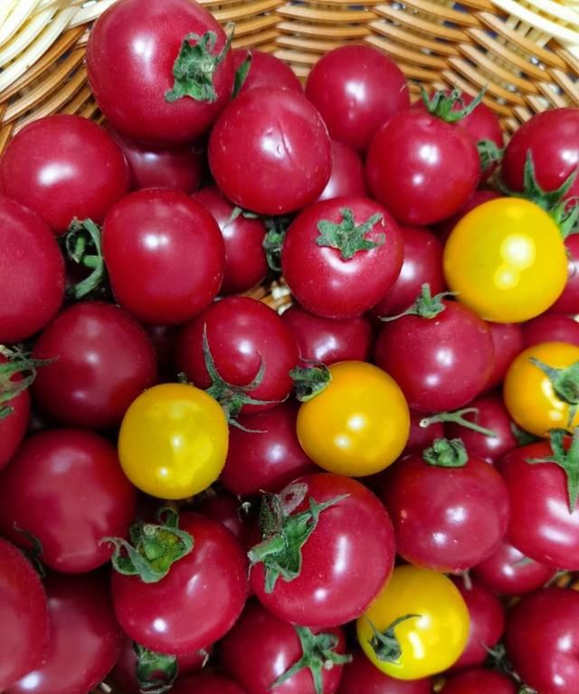 谷雨后怎样吃水果(冬季吃水果首选这几种)图8