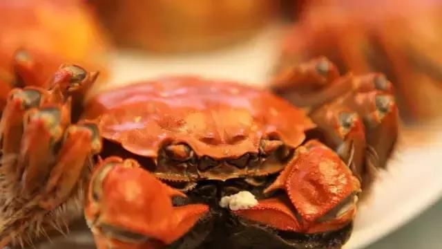 螃蟹公母怎么区分