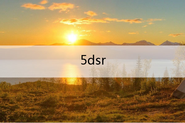 5dsr 5dsr 5ds的区别