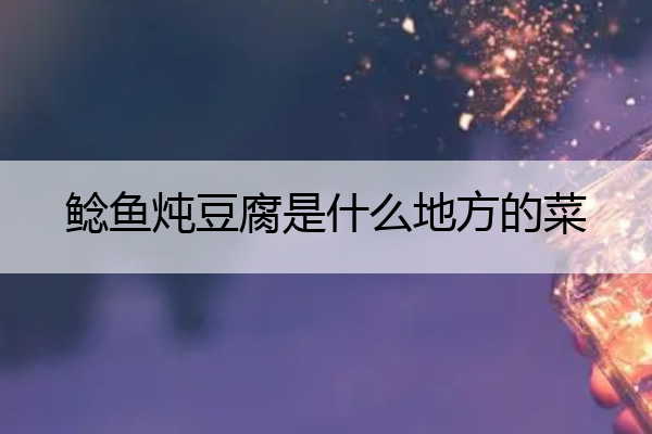 鲶鱼炖豆腐是什么地方的菜 鲶鱼炖豆腐怎么做法