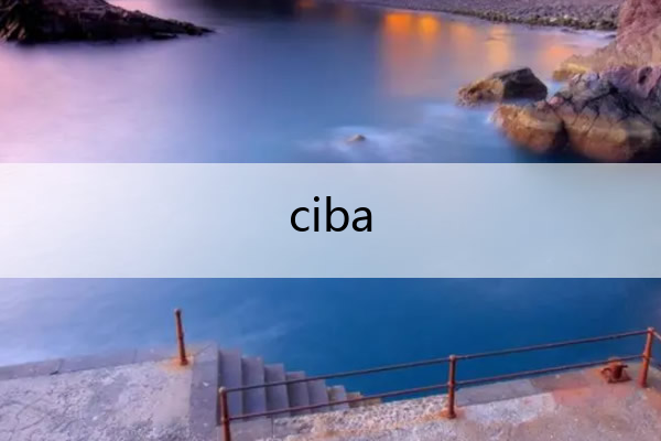 ciba 糍粑和年糕的区别