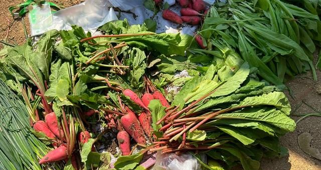 什么叶子做菜最好吃(椰子的果肉可以做什么)图2