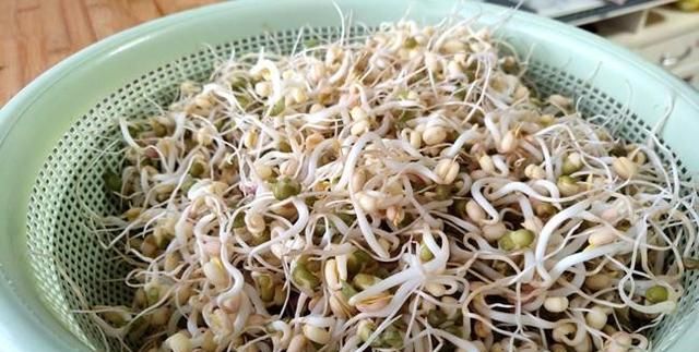 包子素馅什么好吃 素包子做什么馅的比较好吃