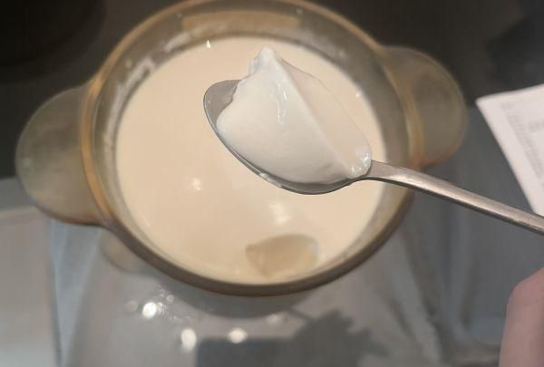 冬天可以吃花胶奶冻图1