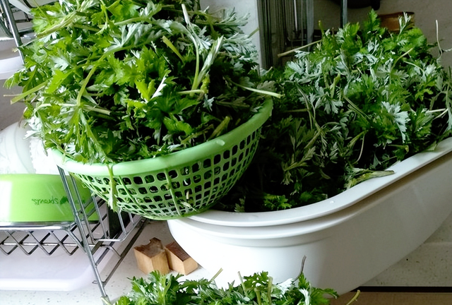 怎么保存艾草又嫩又好吃,多余的艾草怎么保存下次做青团图10