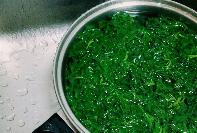 怎么保存艾草又嫩又好吃,多余的艾草怎么保存下次做青团图11