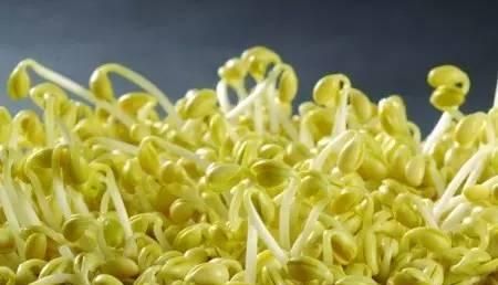 蔬菜也有保质期这样的菜千万别吃图1