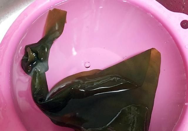 广东有些什么需要泡发的干货图10