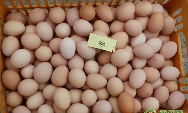 鸡蛋目前市场价格是多少?鸡蛋可以保存多久呢图3