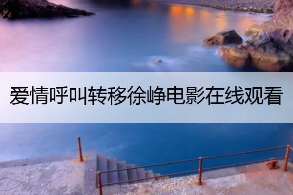 爱情呼叫转移徐峥电影在线观看 爱情呼叫转移徐峥免费