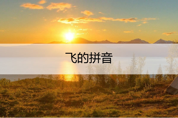 飞的拼音 飞机的拼音