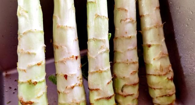 北方莴笋哪里最好吃图8