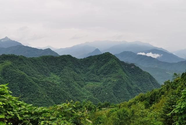 茶艺茶道茶文化的区别图6