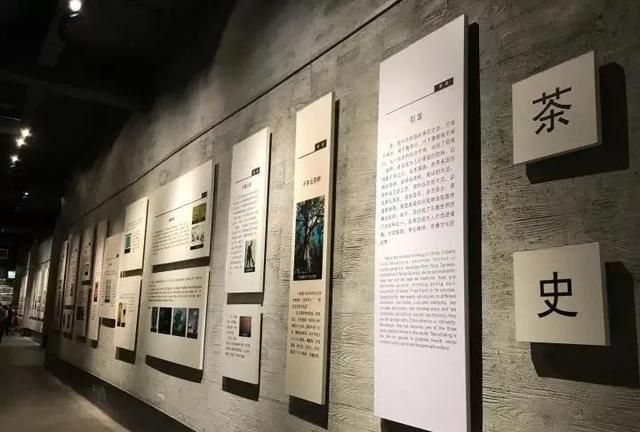 茶艺茶道茶文化的区别图12