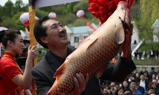 四大香指什么食物好吃图9