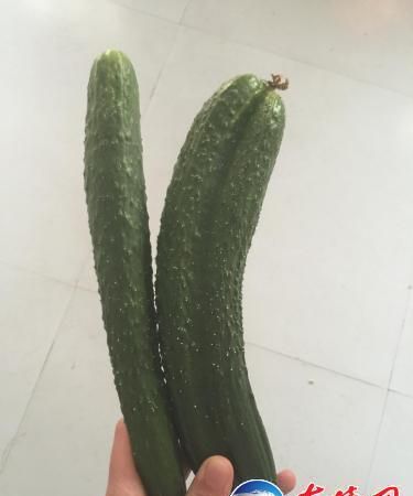 连体水果能吃吗,哪些蔬菜不适合直接吃图1