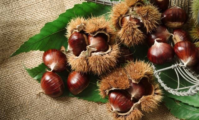 我来举个栗子(举个栗子图片)图2