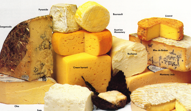 奶酪新手买家入门知识,这些你应该都了解什么图1