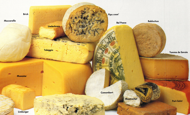奶酪新手买家入门知识,这些你应该都了解什么图2