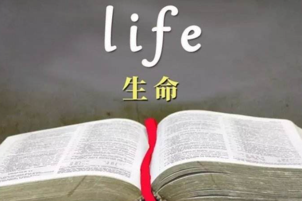 生命的意义唯美句子