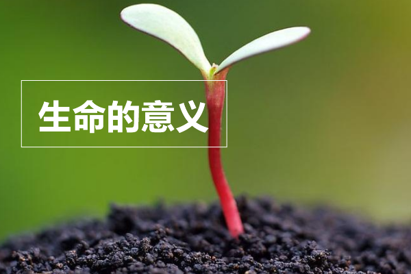 生命的意义唯美句子