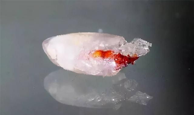 密封包装的大米为何会生虫,密封很好的袋装大米为何会长虫子图5