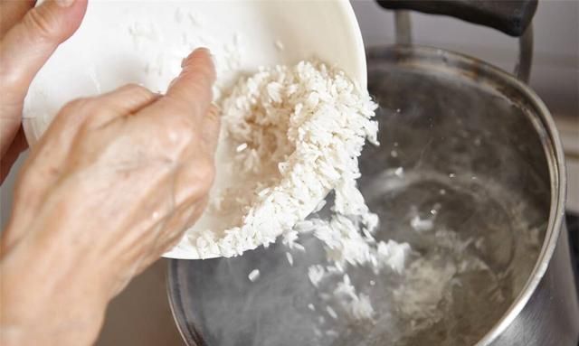 密封包装的大米为何会生虫,密封很好的袋装大米为何会长虫子图7