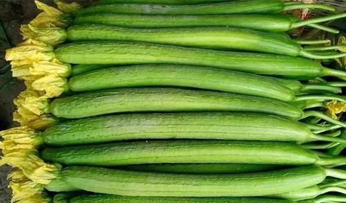 炒丝瓜焯水还是直接炒,虾仁炒丝瓜的做法丝瓜焯水图1