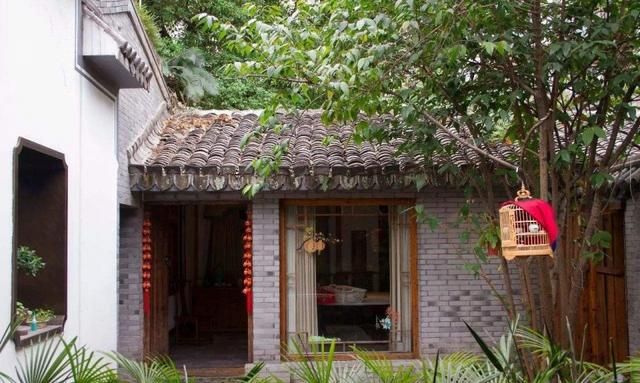 农村院子种什么果树比较好,农村庭院种什么果树最好图5