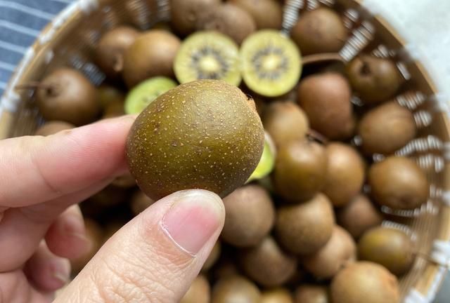 野生猕猴桃用什么酒浸最好图3