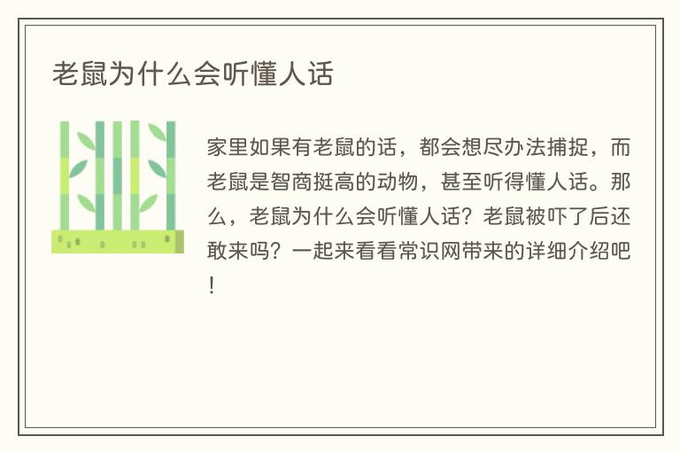 老鼠为什么会听懂人话