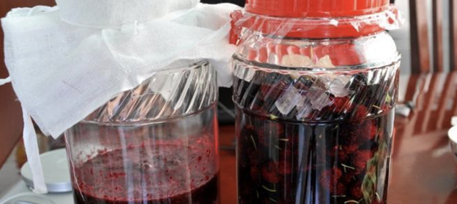 桑葚干泡酒喝有什么功效和作用禁忌图3