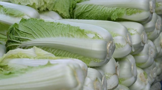 原来保存白菜这么简单,放3个月都新鲜不腐烂,快学学吧图3