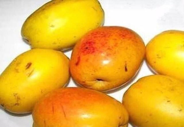 云南木瓜怎么吃 云南木瓜吃法大全