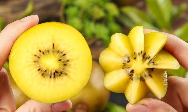 猕猴桃很硬怎么催熟图5